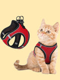 Buttercup - Cat harness with leash
