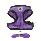 Buttercup - Cat harness with leash