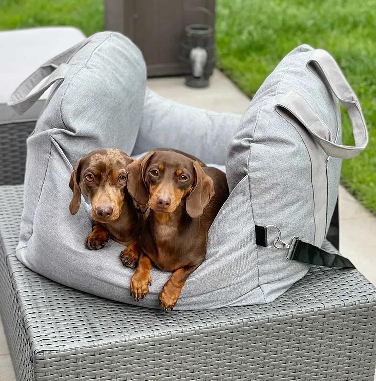 Calming bed for dogs in the car