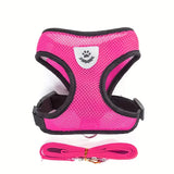 Buttercup - Cat harness with leash