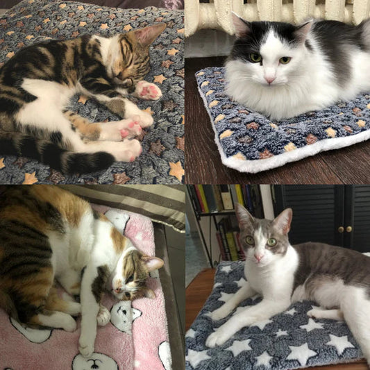 Calming Cat Bed