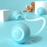 Purr™ | Interactive electric play ball for cats