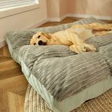 Orthopaedic dog pillow with removable cover
