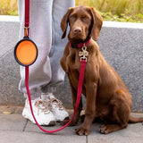 HappyBin™ | Collapsible Travel Feeder for Pets