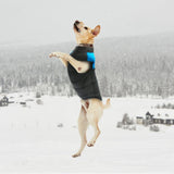 PawVest™ | Waterproof dog vest for winter