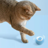 Purr™ | Interactive electric play ball for cats
