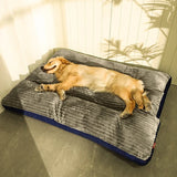 Orthopaedic dog pillow with removable cover