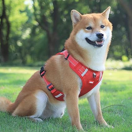 Reflective Anti-Pull Harness