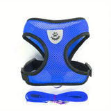 Buttercup - Cat harness with leash