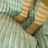 Orthopaedic dog pillow with removable cover