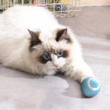 Purr™ | Interactive electric play ball for cats