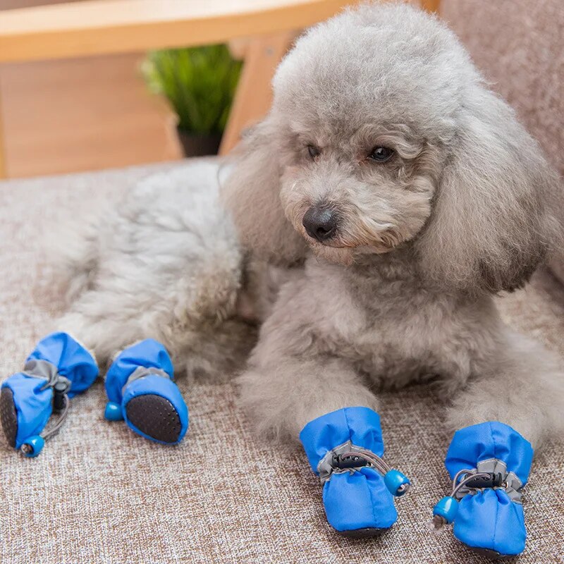 FourPaws™ | Water repellent dog shoes