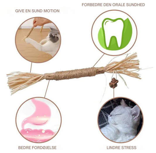 Cat chew stick
