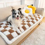 PawShield™ | Protective blanket