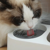 Foodly™ | Automatic food and water dispenser for pets