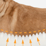 Orthopaedic comfort dog bed