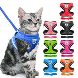 Buttercup - Cat harness with leash