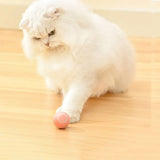 Purr™ | Interactive electric play ball for cats
