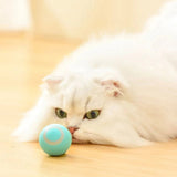 Purr™ | Interactive electric play ball for cats