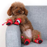 FourPaws™ | Water repellent dog shoes