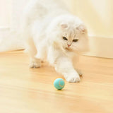 Purr™ | Interactive electric play ball for cats