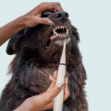 Ultrasonic Tooth Cleaner for Dogs