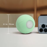 Wicked Ball PE