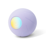 Wicked Ball PE