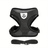 Buttercup - Cat harness with leash