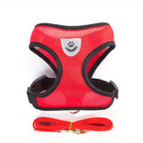 Buttercup - Cat harness with leash