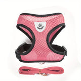 Buttercup - Cat harness with leash
