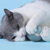Purr™ | Interactive electric play ball for cats
