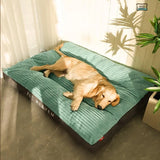 Orthopaedic dog pillow with removable cover