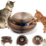 Crab Food Deluxe: Healthier Claws and Endless Fun for Your Cat
