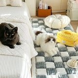 PawShield™ | Protective blanket