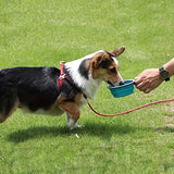 HappyBin™ | Collapsible Travel Feeder for Pets