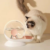 Magic Water Fountain: Keep Your Cat and Dog Hydrated!