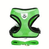 Buttercup - Cat harness with leash