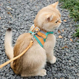 PawSafe™ Cat Harnesses: Safe Outdoor Experience for Your Cat!