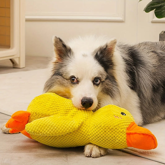 Soothing Duck Toy