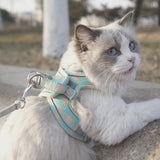 Yellow cat harness