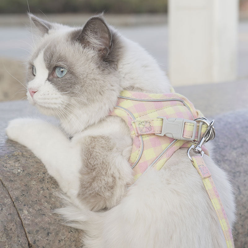 Yellow cat harness