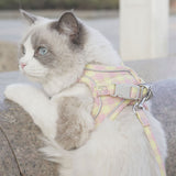 Yellow cat harness