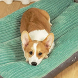 Orthopaedic dog pillow with removable cover