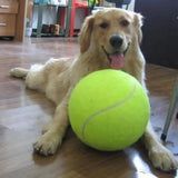 Putty™ | Interactive large tennis ball for dogs